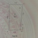  50m2 - 1