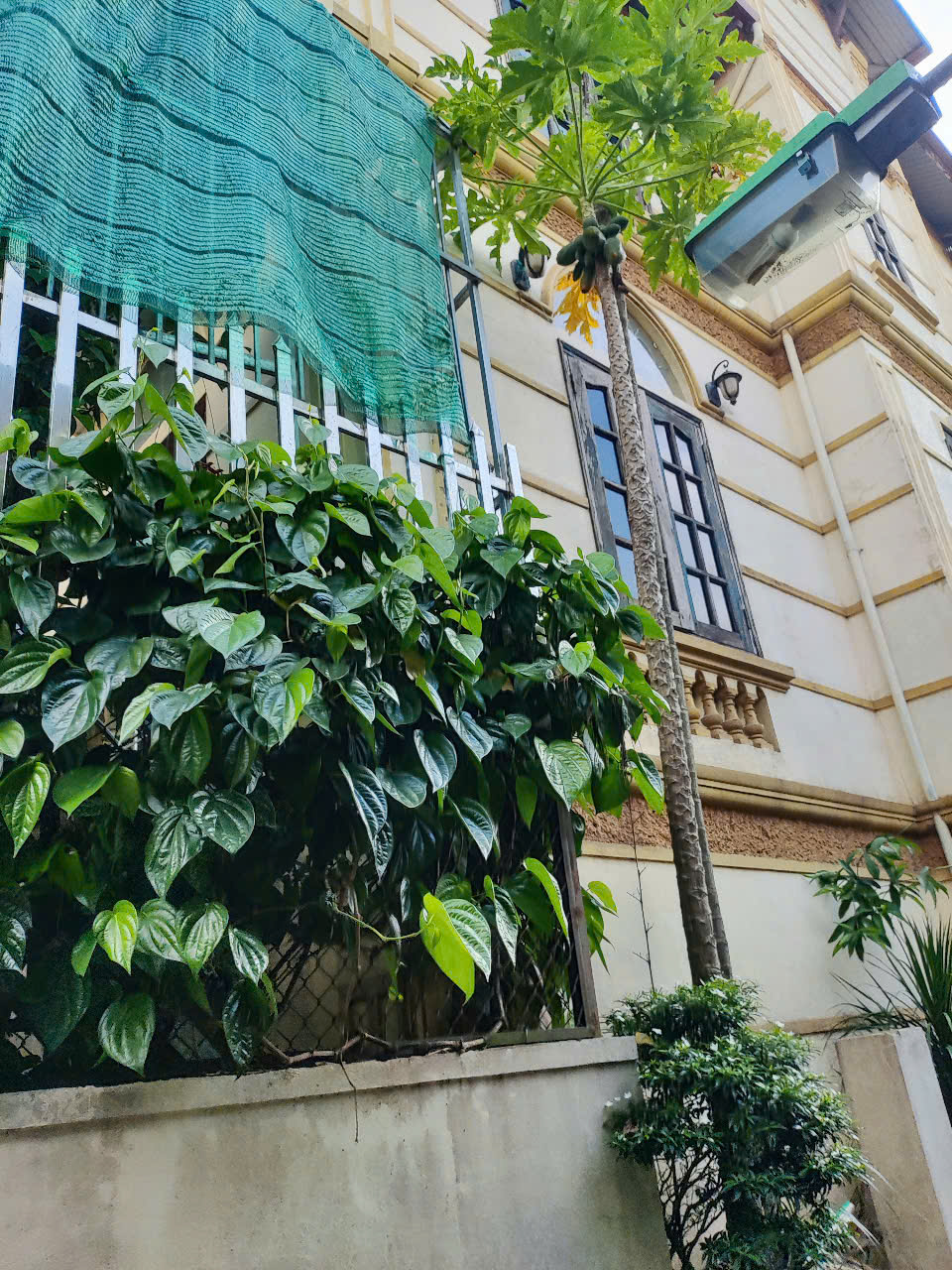 NHÀ VƯỜN - PHÂN LÔ - 2 MẶT NGÕ - VIEW HỒ - Ô TÔ - Ở SƯỚNG.Giá : nhỉnh 13 tỷ