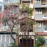  80m2 - 1