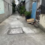  50m2 - 1