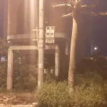  100m2 - 1