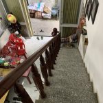  34m2 - 1