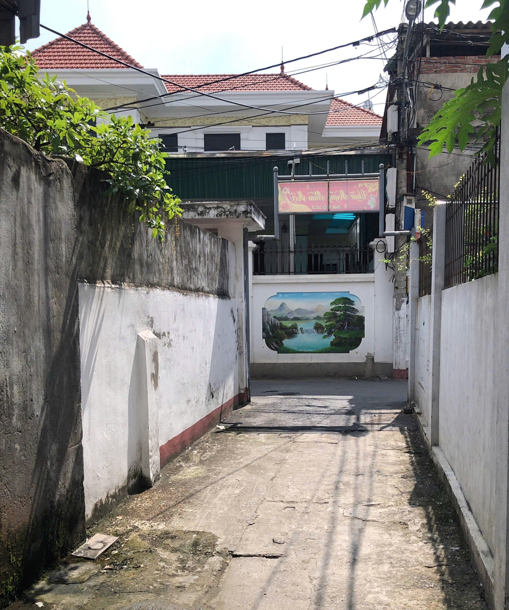 46m2