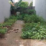 65m2