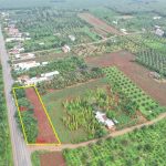  1700m2 - 1
