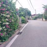  76m2 - 4