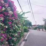  75m2 - 4