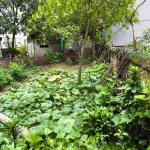 50m2