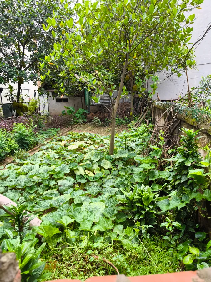 Bán miếng đất liên mạc gần ô tô, ngõ thông, sổ đỏ đẹp hoa khôi, không một lỗi nhỏ, gần trường, chợ, thửa đất đẹp giá đầu tư
