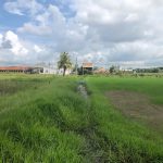  10000m2 - 5
