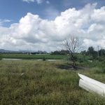  10000m2 - 6
