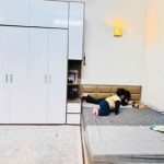  100m2 - 5
