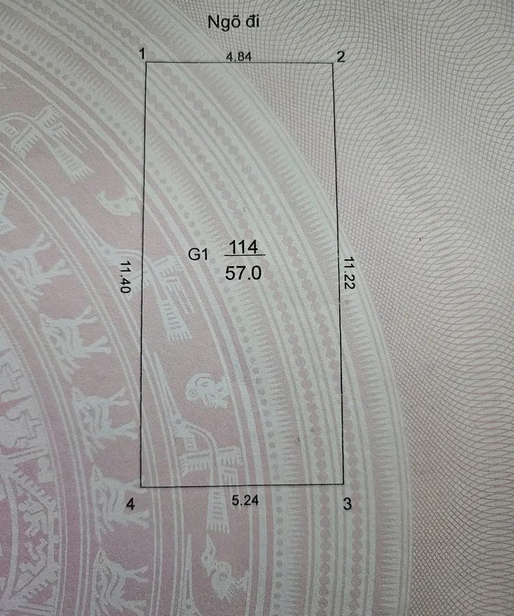 60m2