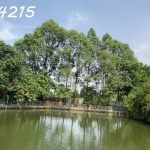  14000m2 - 4