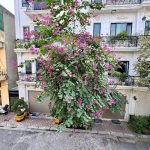  60m2 - 1