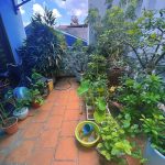  50m2 - 5