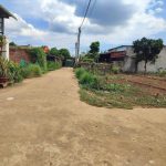  100m2 - 1