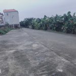  119m2 - 5