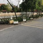  52m2 - 3