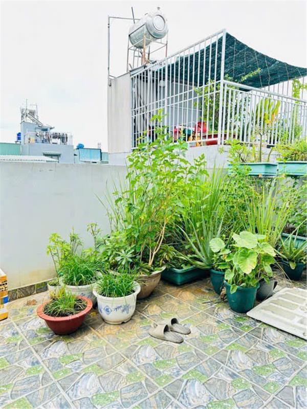 BÁN NHÀ 1 TRỆT 3 LẦU + SÂN THƯỢNG – HẺM XE HƠI – NGUYỄN TRIỆU LUẬT