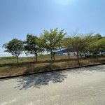  30000m2 - 3