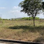  30000m2 - 4