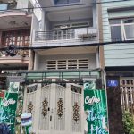  100m2 - 1
