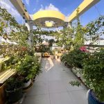  45m2 - 4