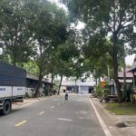  100m2 - 3