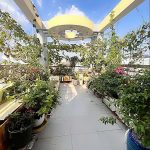  210m2 - 5