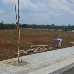  200m2 - 3