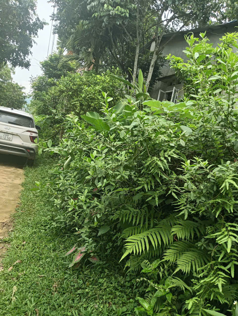 CHÍNH CHỦ CẦN CHUYỂN NHƯỢNG LÔ ĐẤT TẠI XÃ YÊN MÔNG- TP HÒA BÌNH- NAY THUỘC PHƯỜNG TÂN HÒA- PHÚ THỌ