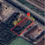  1000m2 - 5