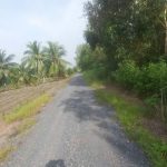  1000m2 - 4