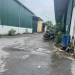  450m2 - 1