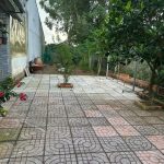  370m2 - 4