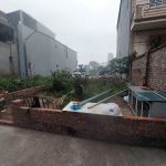  50m2 - 1