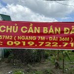 245m2