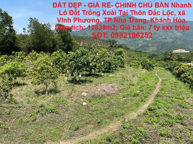 ĐẤT ĐẸP - GIÁ RẺ- CHÍNH CHỦ BÁN Nhanh Lô Đất Trồng Xoài Tại Vĩnh Phương, Nha Trang, Khánh Hòa