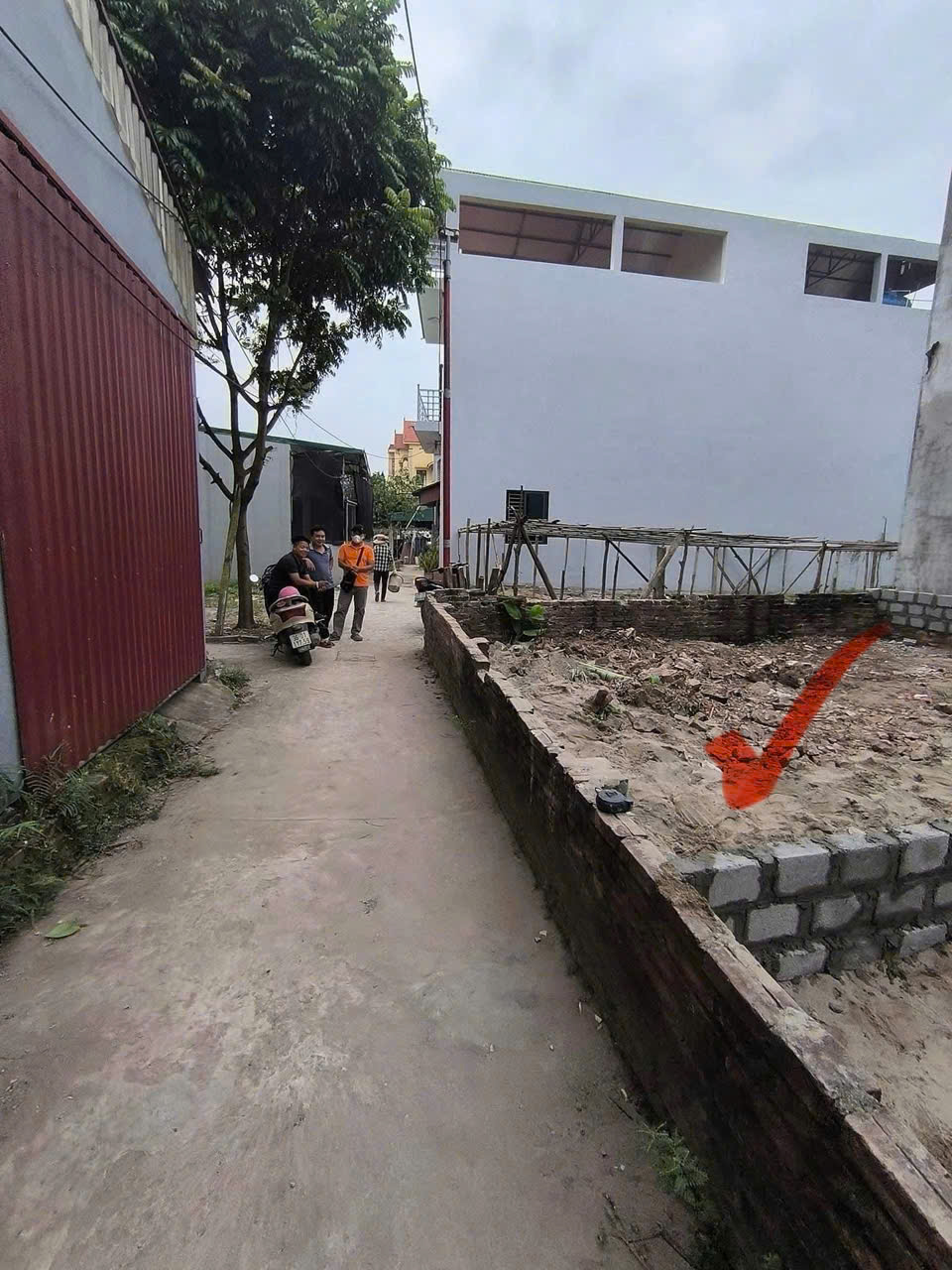 ĐẤT TỰ NHIÊN-THƯỜNG TÍN 41 5.5 1.850 TỶ, GẦN Ô TÔ TRÁNH