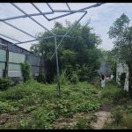  1000m2 - 4