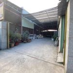  3800m2 - 3