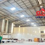  5000m2 - 4