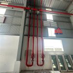  50000m2 - 4