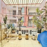  50m2 - 4
