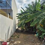  100m2 - 4