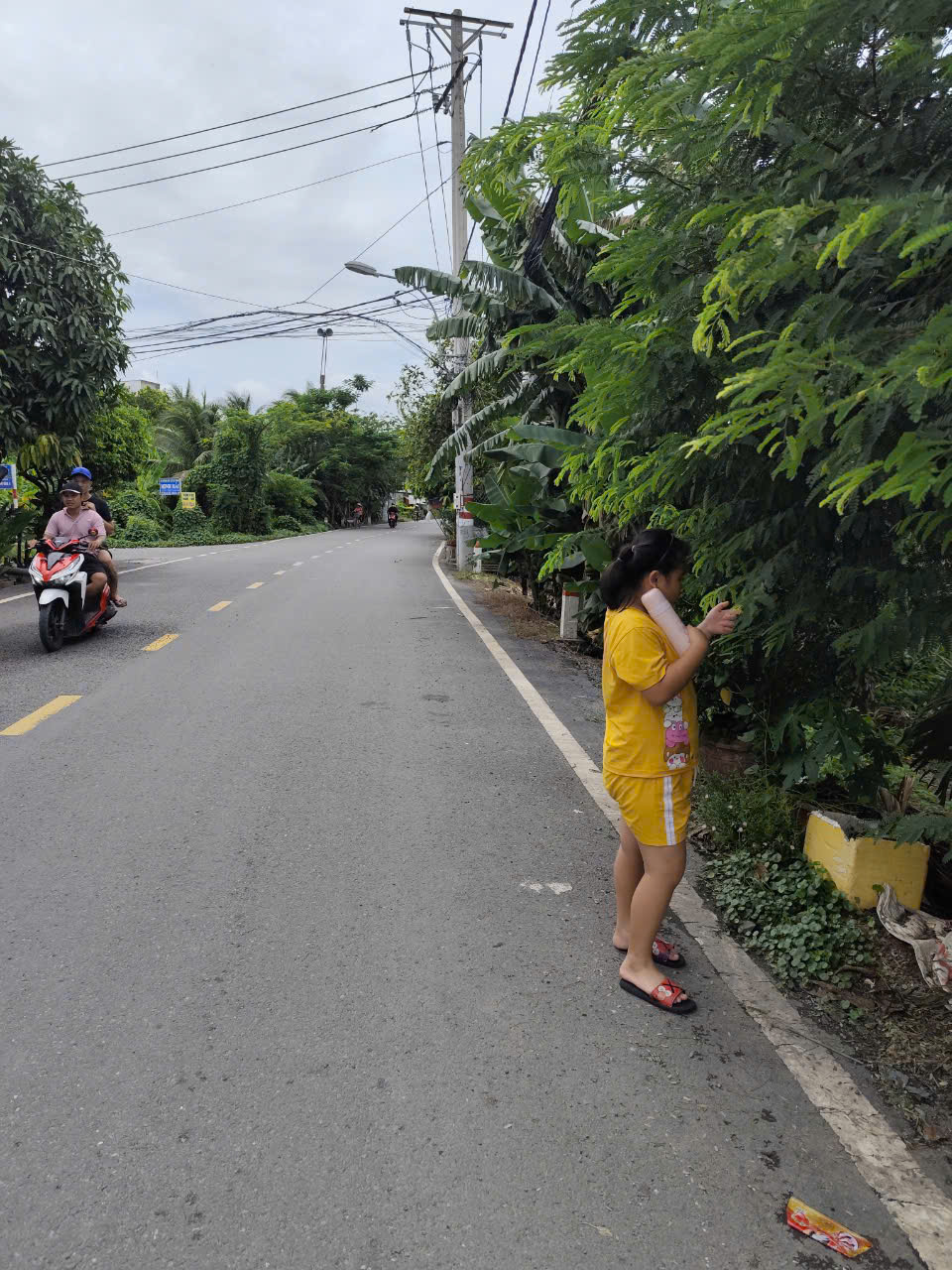 BÁN ĐẤT MẶT TIỀN NHỊ BÌNH 3 – HÓC MÔN – DIỆN TÍCH LỚN – CÓ 300M² THỔ CƯ
