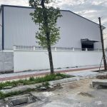  1000m2 - 6