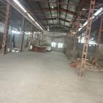  1200m2