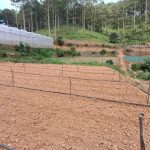  2100m2 - 1